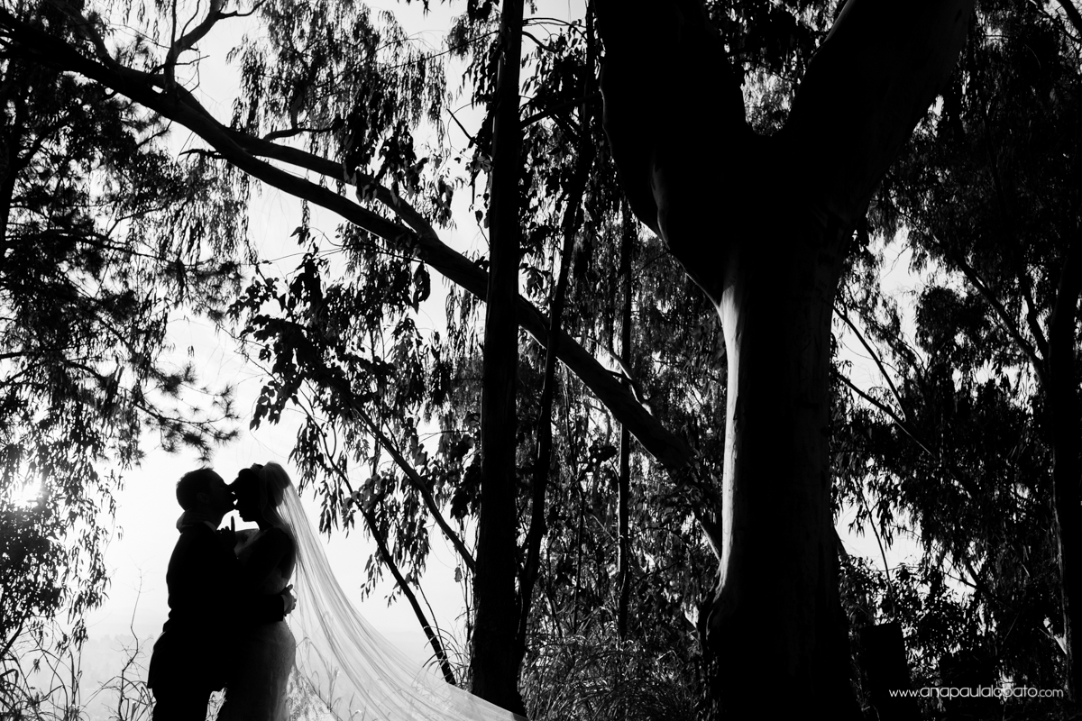 20140909_172912_IMG_1054-2