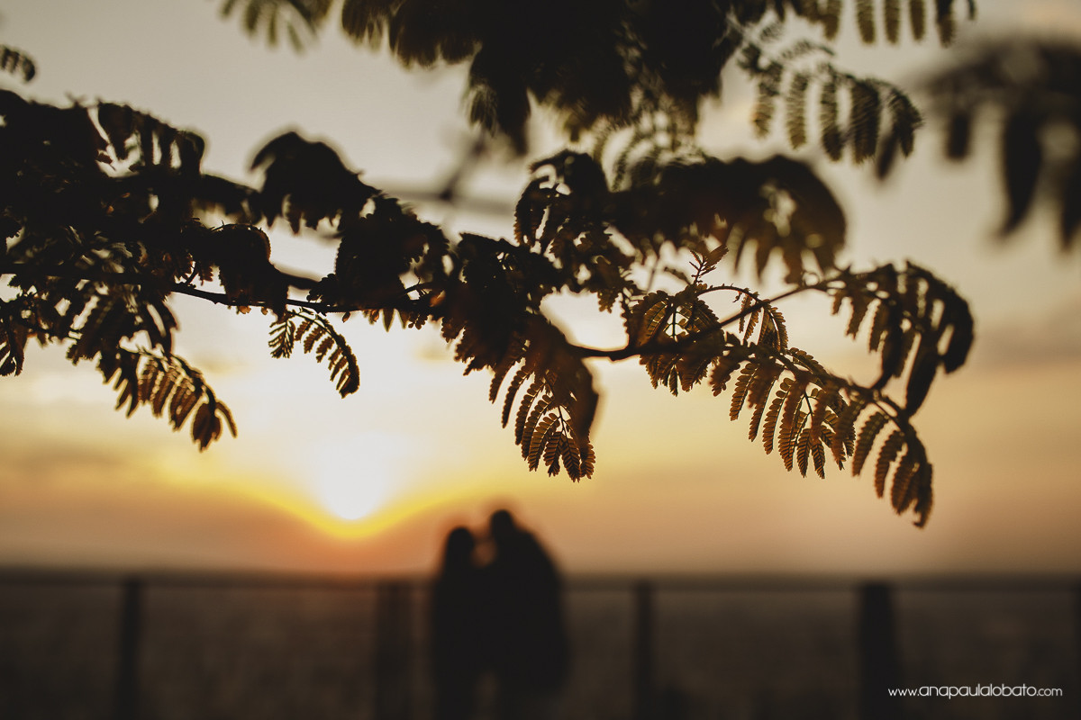 150826-174635-PRE_AnaVin-AP-_MG_7031