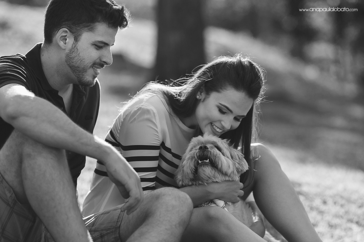 150922-151806-POS_FerTia-AP-IMG_1343-2