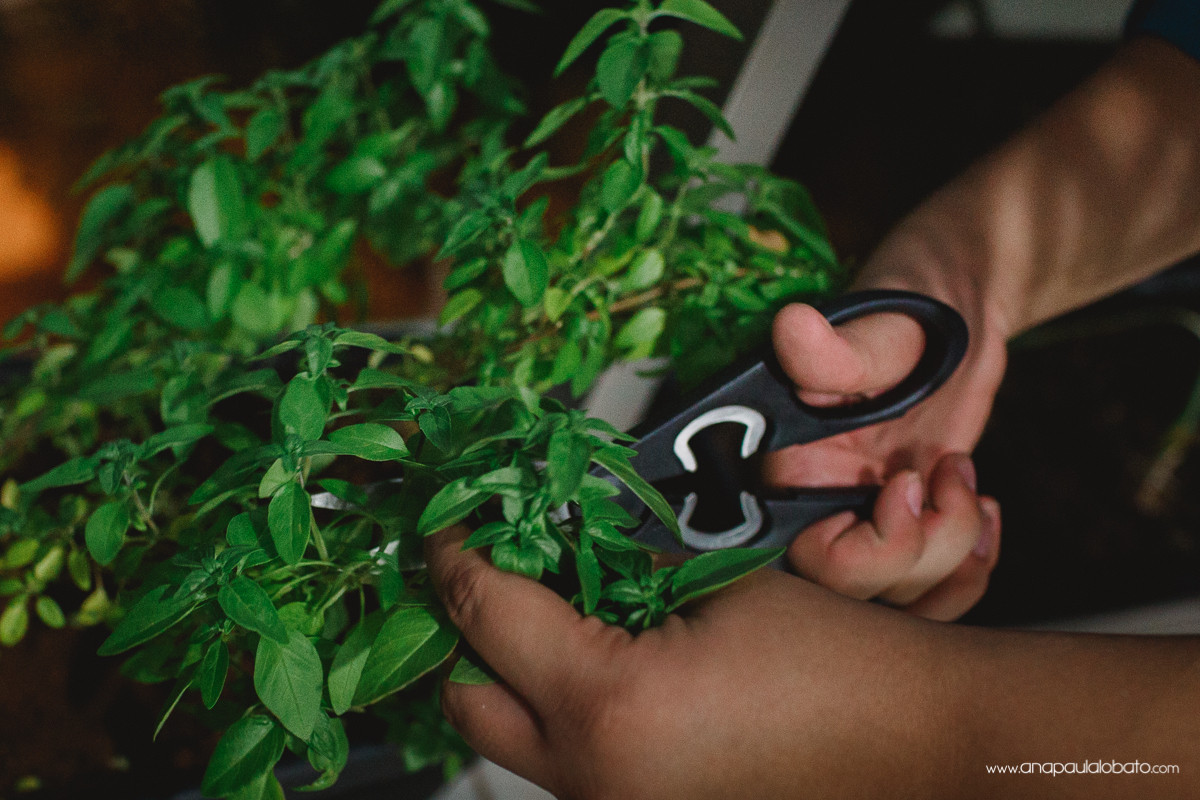 151217-191100-POS_AnaVin-AP-IMG_3873