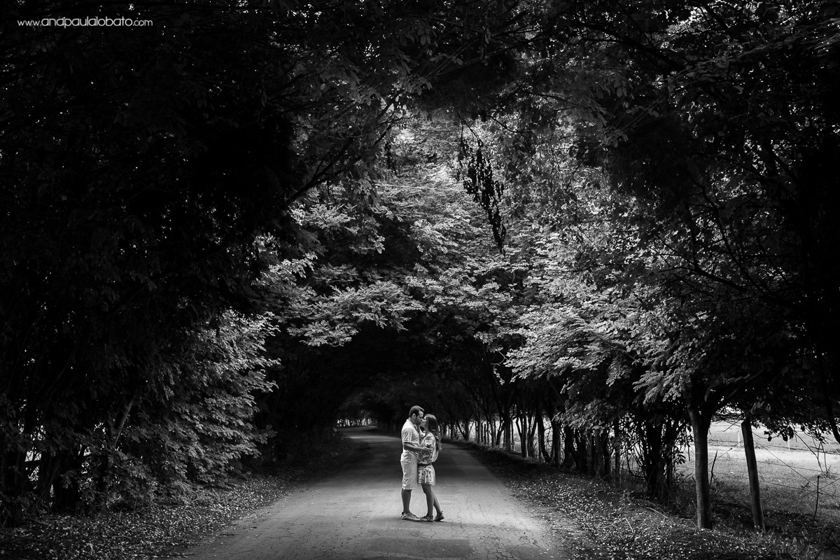 160303-163502-PRE_MarHen-AP-IMG_7942-2