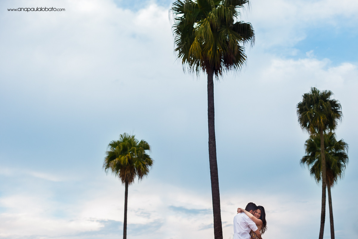 160323-183301-PRE_RenMat-AP-IMG_0152