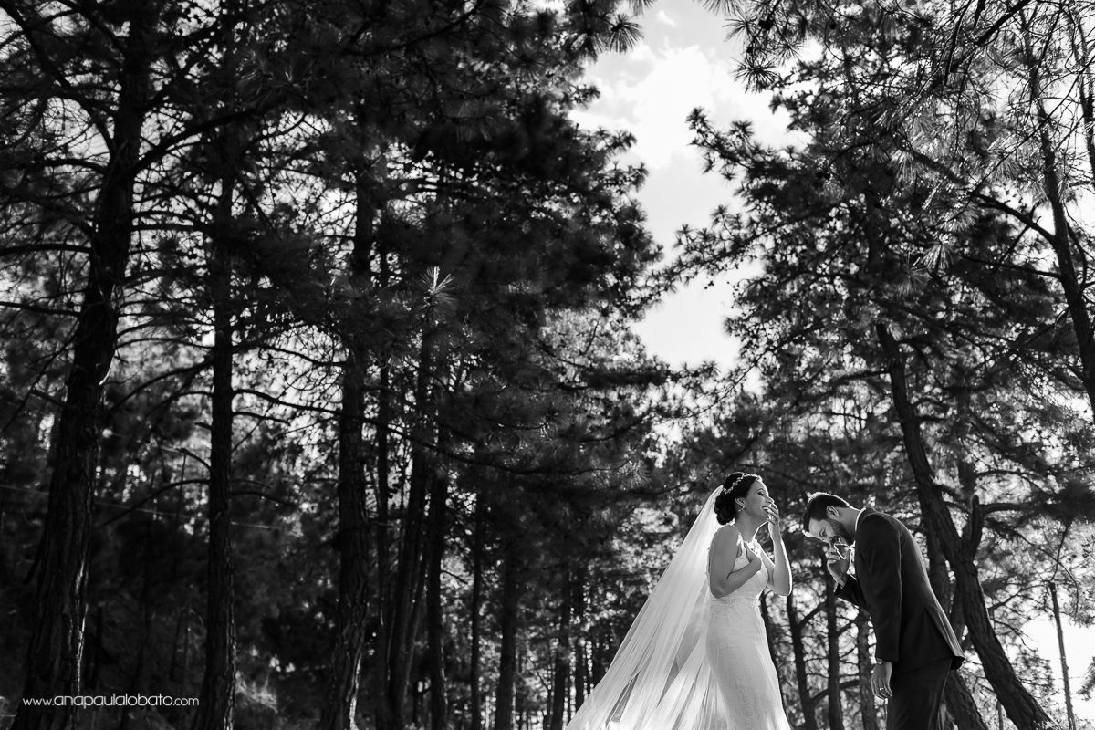 160418-173540-POS_CamGui-AP-IMG_1230-2