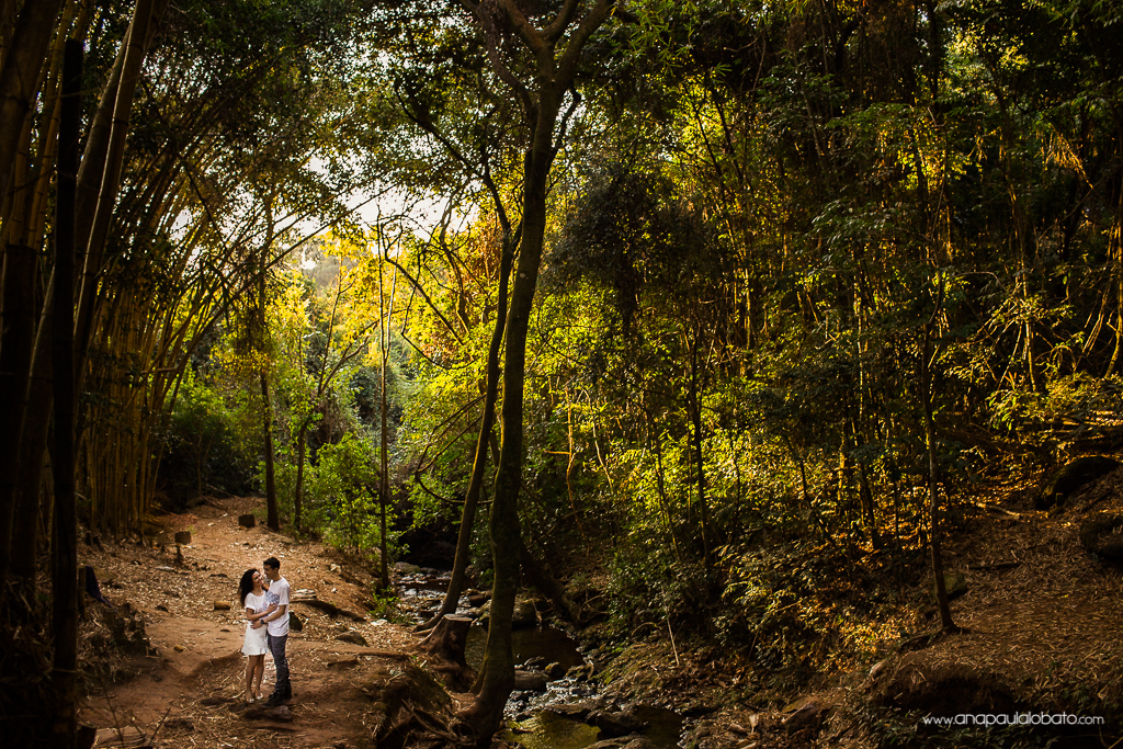160722-174045-PreWedding-Parque-das-Mangabeiras-DaniItalo-IMG_0179