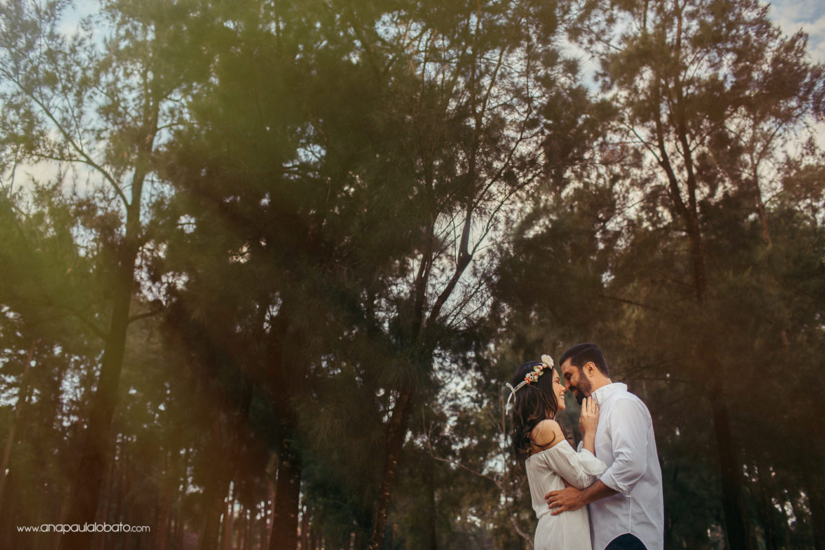 160908-164925-prewedding-morrodochapeu-img_3332-exp