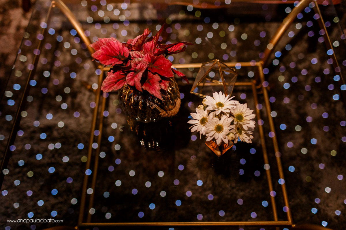 161007-192525-casamento-luzes_bh-img_5063