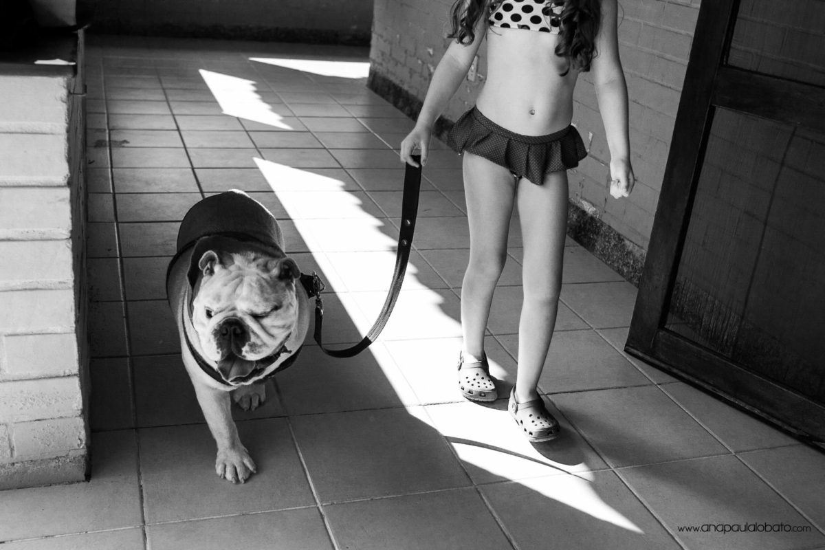 cachorro fofo em casamento