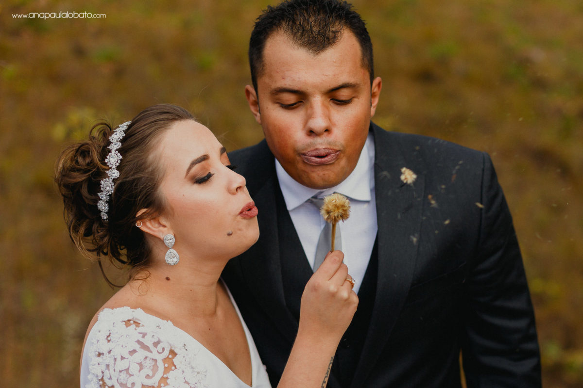 desejo noivos dente de leão