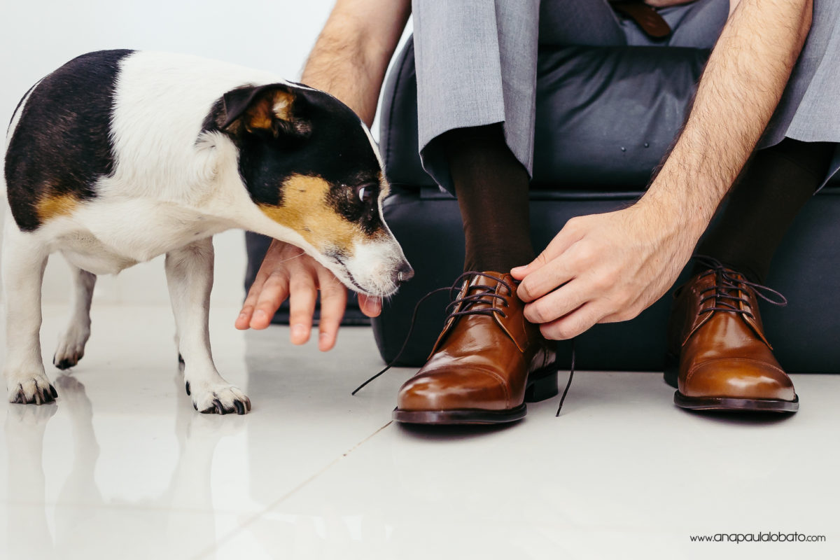 cachorro no making of do noivo