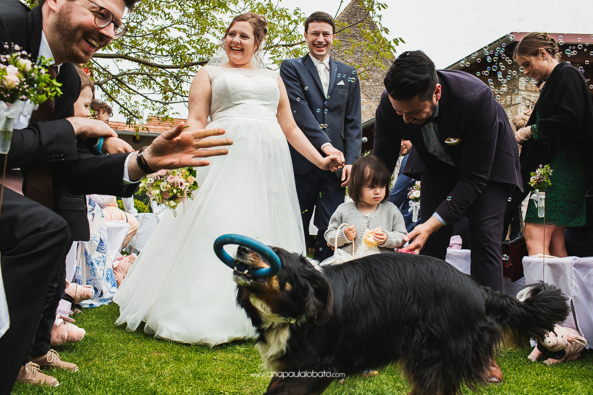 cerimônia de casamento com cachorro