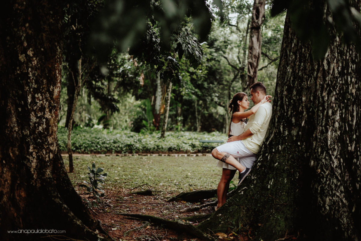forest romantic pictures