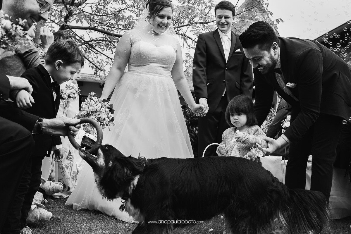 wedding dogs in the ceremony