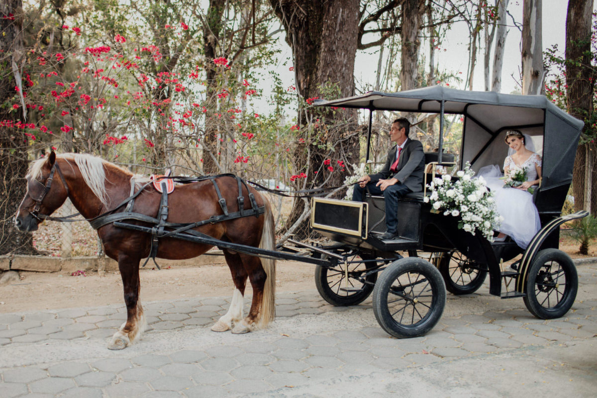 fairy tale wedding entrance with carriage and horse