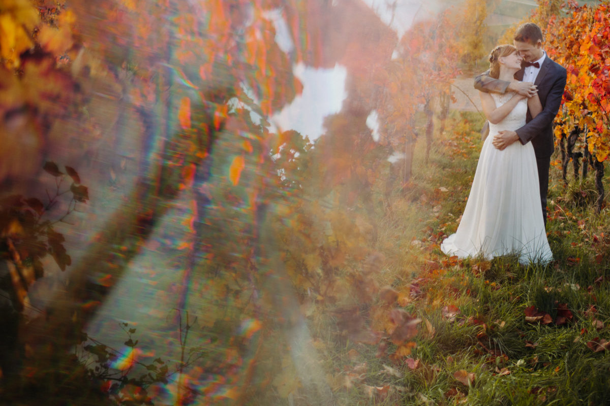 best wedding photos of 2020
